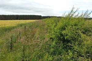 Farmer Cluster Scotland