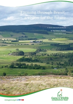 Farming through Brexit