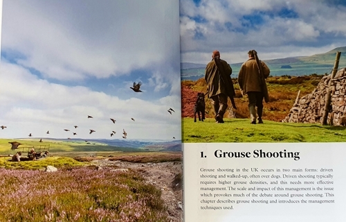 20190913_101835 20190913_101835