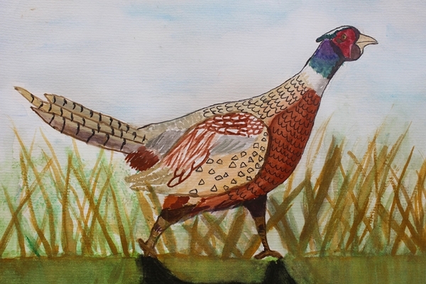 School Art 2019 Primary winner Prithvi Sudarshan