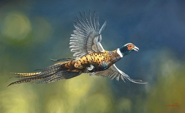 Flight Of Fancy 2020 Flight Of Fancy 2020