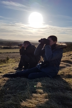 Winter bird surveys (Credit M. Nicolai)