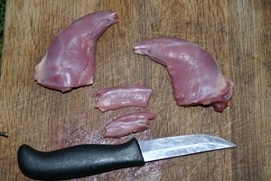 Squirrel meat
