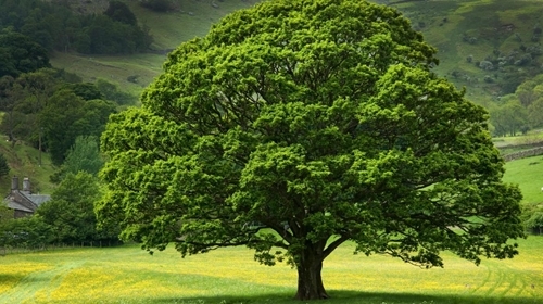 _methode _times _prod _web _bin _e 6c 352d 4-ac 09-11ea -8500-5aff 29860cf1