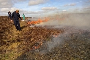 Controlled burning
