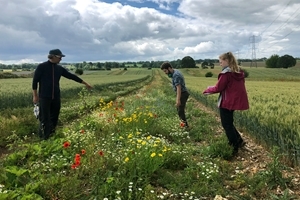Francis Buner showing the ropes to Lucy Roberton and Matthew Beedle