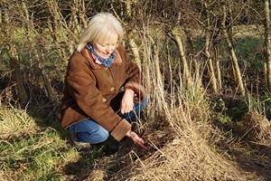 Kate Faulkner with a harvest mouse nest
