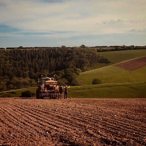 4111175C-3F50-470C-8547-E1DCFC4D800F 4111175C-3F50-470C-8547-E1DCFC4D800F