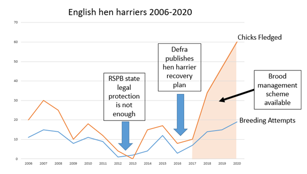 Hen -Harriers -England Hen -Harriers -England