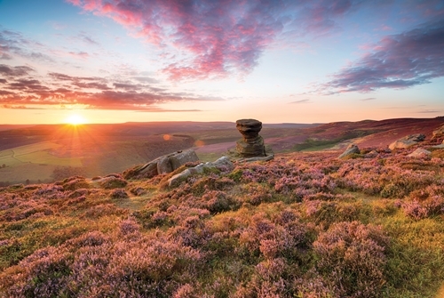 Shutterstock _720778240 Shutterstock _720778240