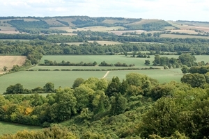 Rural Hampshire