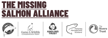 Missing Salmon Alliance