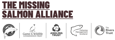 Missing Salmon Alliance