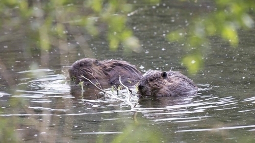 _methode _times _prod _web _bin _1f 419c 0e -bb 07-11ea -84a 6-a 03a 9956ea 0a (1)