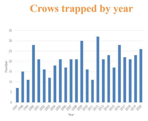 Crowgraph