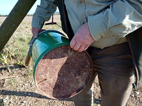 IMG_20210227_150415 (1)