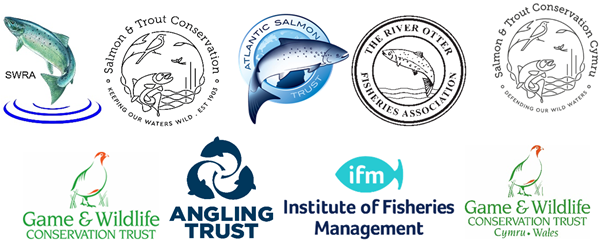 Organisational logos Organisational logos