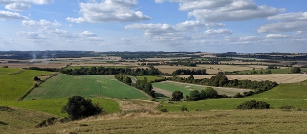 Barn Owl Habitat