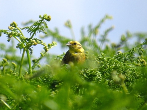 Images -HDjqpo Gp Hdd GNexrw -20029604112_d 7c 299076e _o (1) Images -HDjqpo Gp Hdd GNexrw -20029604112_d 7c 299076e _o (1)