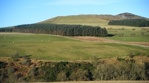 Scottishraffle -1- Scottishraffle -1-