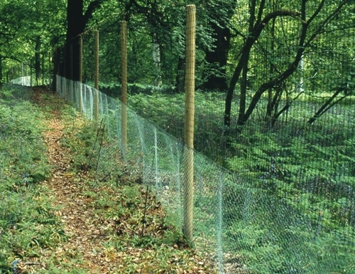 Release Pen Release Pen