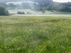 Improving soil health in Wales