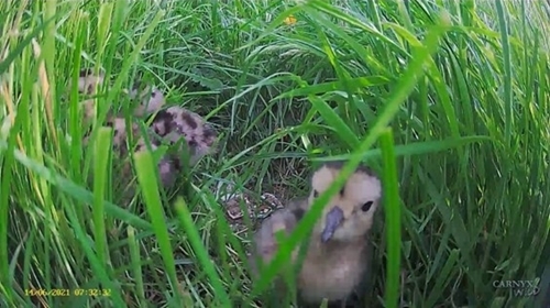 Wales Blog 6 Wales Blog 6