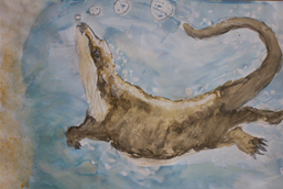 Clara Holt Brook , P6-7, Overall Primary Winner . Arngask Primary Clara Holt Brook , P6-7, Overall Primary Winner . Arngask Primary