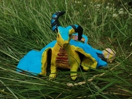 Clara HB Dragon Clara HB Dragon