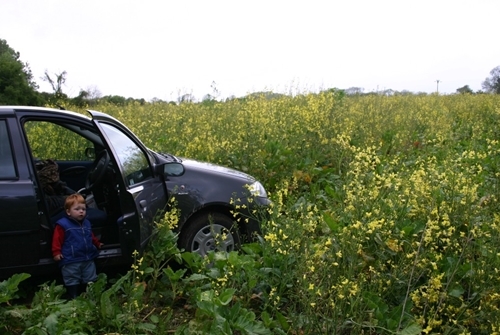 IMG_0958 (1) IMG_0958 (1)