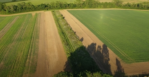 Allerton Drone Allerton Drone