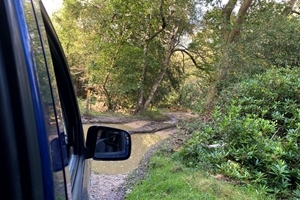 Photo by Amelia Corvin-Czarnodolski, PARTRIDGE Placement Student 2021-2022