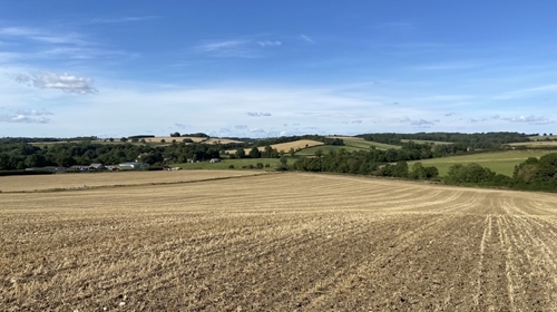Cover Crop Drilled Cover Crop Drilled