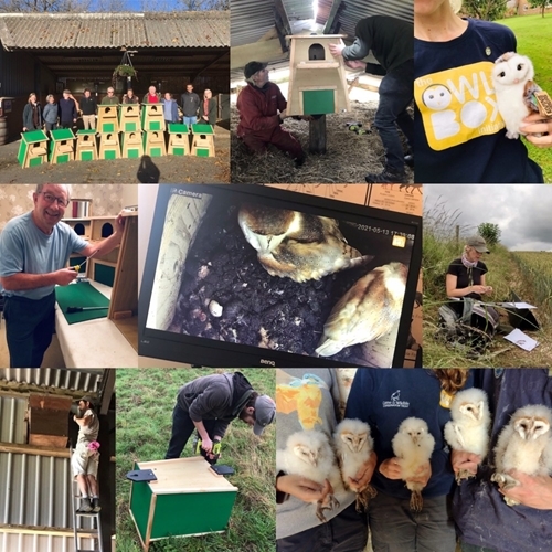 Pic Collage OBI Birthday Blog No Borders Draft 3 Pic Collage OBI Birthday Blog No Borders Draft 3