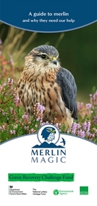 Merlin Magic Leaflet