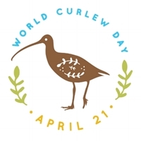 World Curlew Day