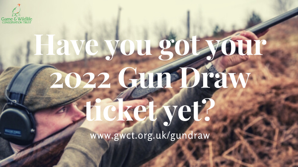 Gun Draw Tickets