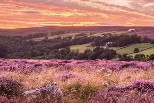 Screenshot 2022-08-08 103039 Screenshot 2022-08-08 103039