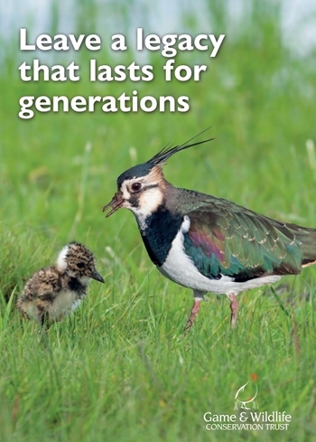 Gwct -legacy -guide Gwct -legacy -guide