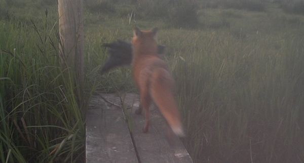 Cb 1c 3b 36-f 922-4e 16-d 22c -3832bd 3a 8fa0 Cb 1c 3b 36-f 922-4e 16-d 22c -3832bd 3a 8fa0