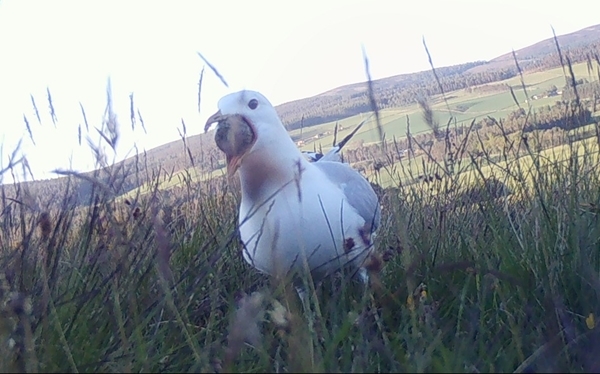 B 1348561-e 6d 0-1a 12-da 12-87920cfa 3807 B 1348561-e 6d 0-1a 12-da 12-87920cfa 3807