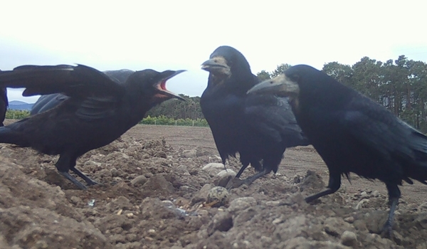 E 8f 5ed 70-d 12a -0b 47-266c -99d 1de 262fbd E 8f 5ed 70-d 12a -0b 47-266c -99d 1de 262fbd