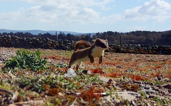 C 08b 5e 9b -931b -c 89b -153d -7e 468299a 01f C 08b 5e 9b -931b -c 89b -153d -7e 468299a 01f