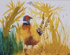 Primary Perth Primary Perth