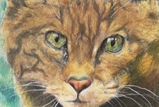 Secondary Perth Secondary Perth