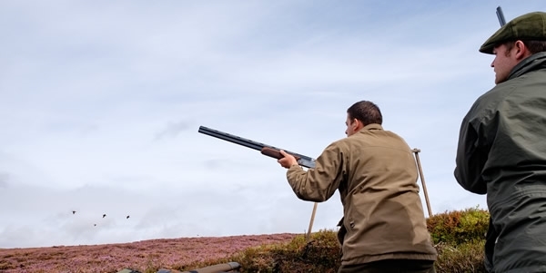 2018gundraw 2018gundraw