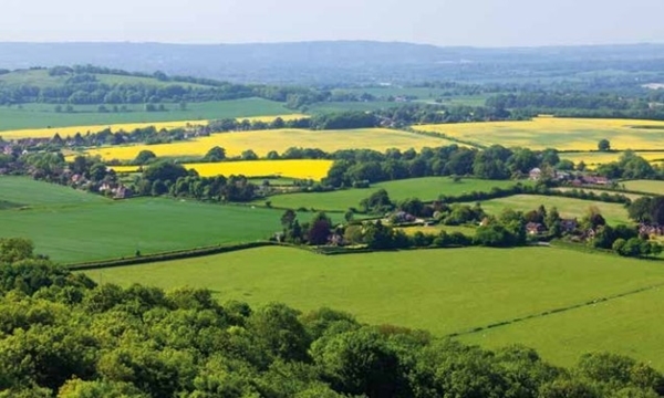 Screenshot 2023-01-19 124831 Screenshot 2023-01-19 124831