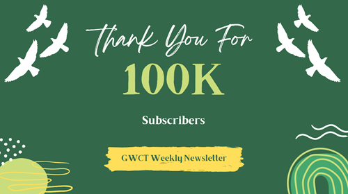 100k Subscribers 100k Subscribers