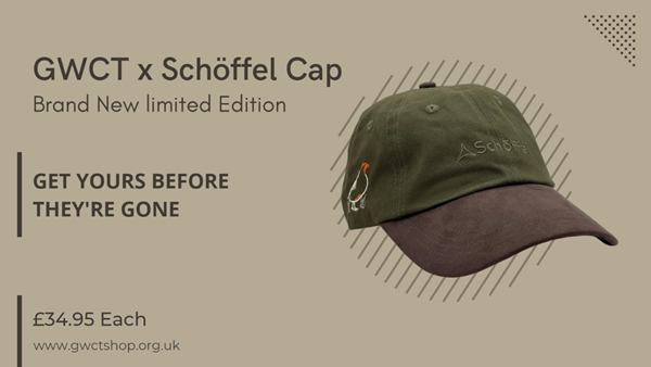 33a 171bd -bd 74-986c -f 992-ce 773bbf 11a8