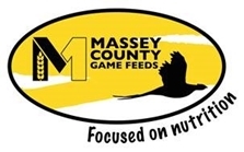 Masseylogo Masseylogo